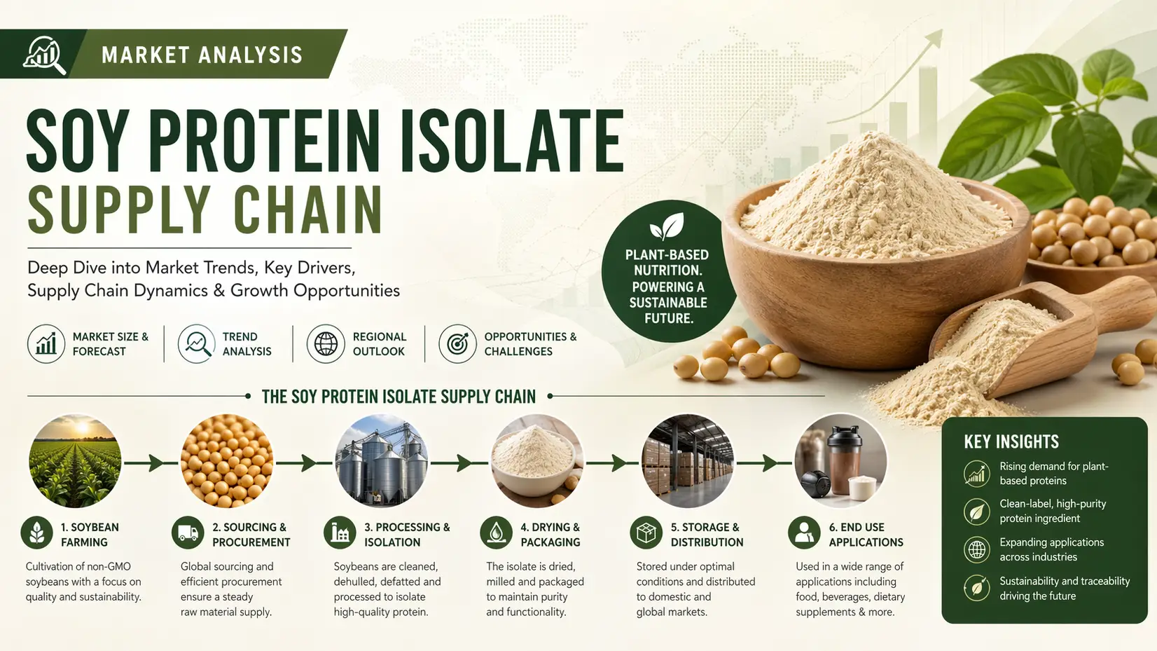 Soy Protein Isolate Supply Chain Outlook 2026: Global Flow & Cost Dynamics