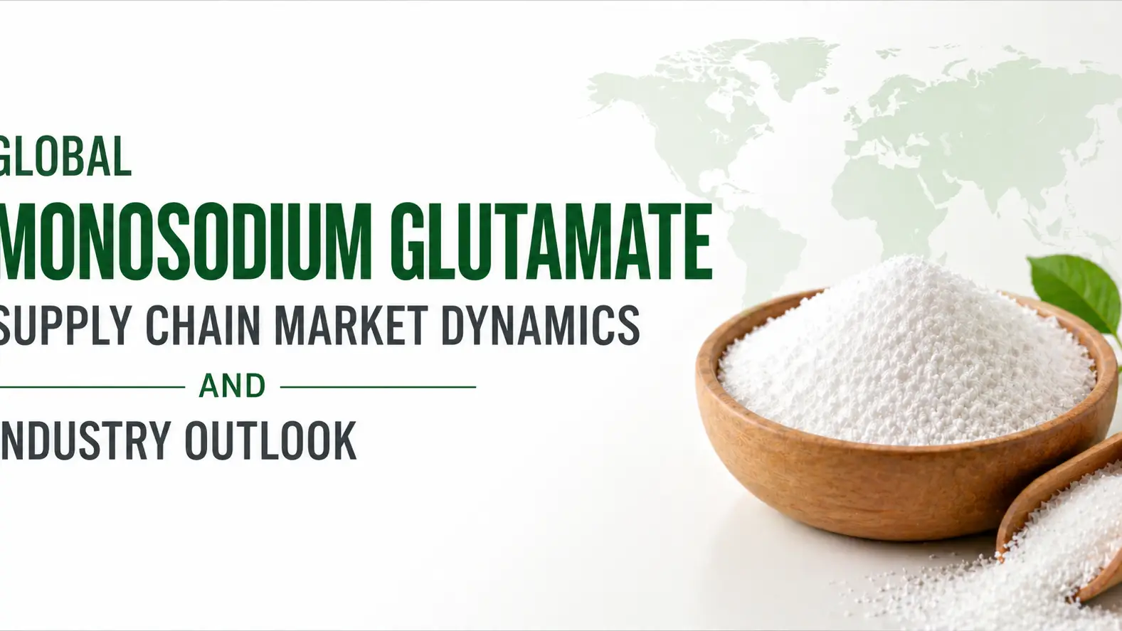 Global Monosodium Glutamate Supply Chain Market Dynamics and Industry Outlook