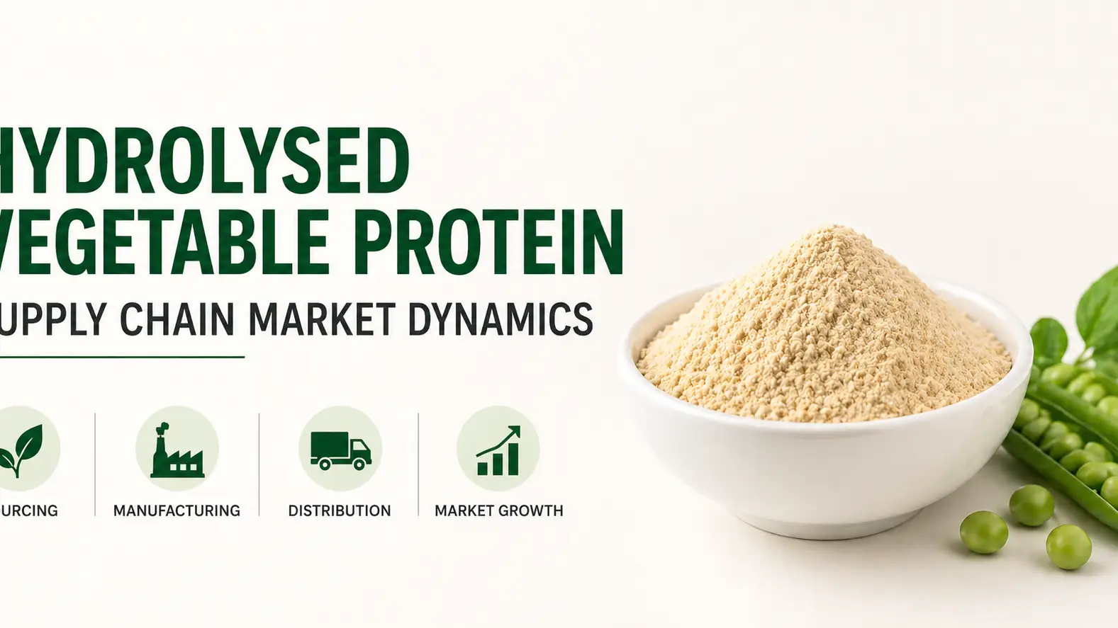 Hydrolysed Vegetable Protein Supply Chain Market Dynamics