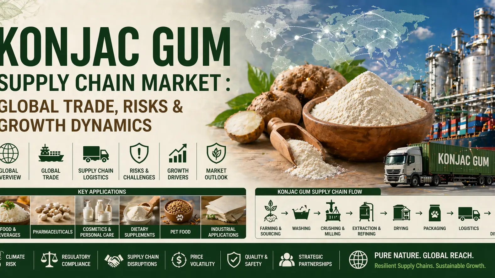 Konjac Gum Supply Chain Market : Global Trade, Risks & Growth Dynamics