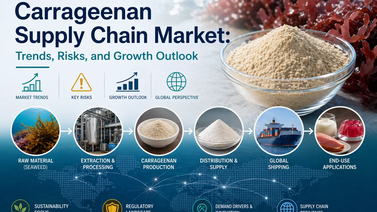 Carrageenan Supply Chain Market: Trends, Risks, and Growth Outlook