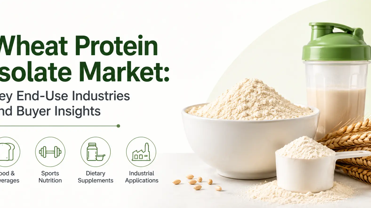 Wheat Protein Isolate Market: Key End-Use Industries and Buyer Insights
