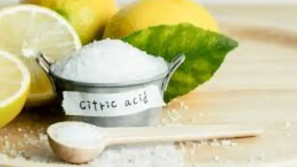 Citric Acid Anhydrous Market 2026 Applications, Trade Flow & Buyer Segmentation