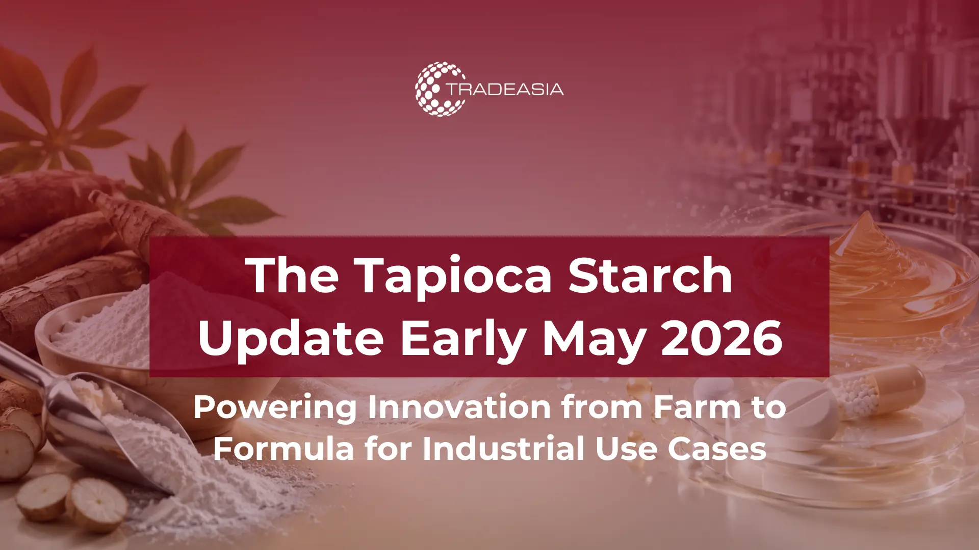 Tendencia de la aplicación del almidón de tapioca a principios de mayo de 2026: de la textura alimentaria a la industrial
