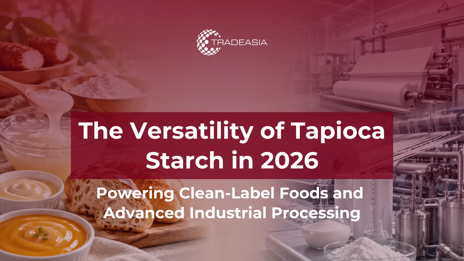 Aplicaciones del almidón de tapioca en 2026: alimentos con etiqueta limpia para uso industrial