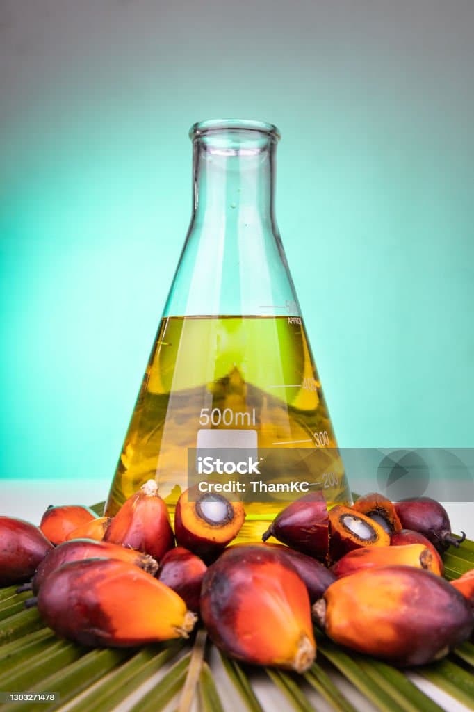 Palm Oleochemicals and the EUDR: How the Deforestation Regulation Reshapes Sourcing Options