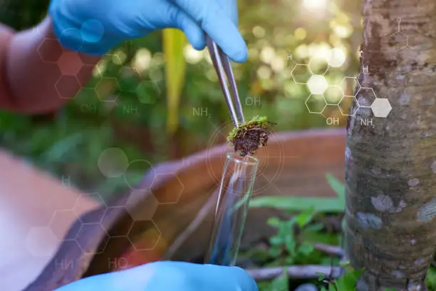 La bioquímica agrícola adyacente de Braskem continúa a través del cambio de propiedad