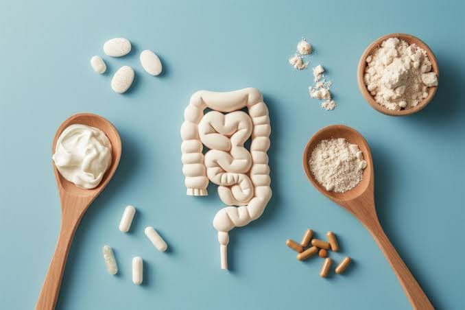 Estabilidad de las cepas probióticas en formatos de alimentos no perecederos