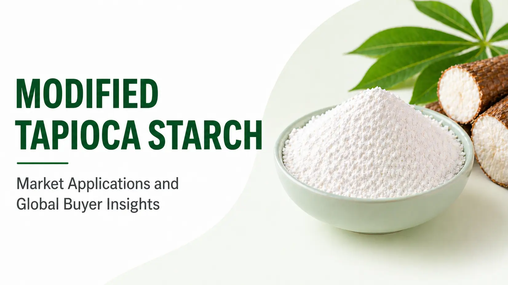 Modified Tapioca Starch Market Applications and Global Buyer Insights