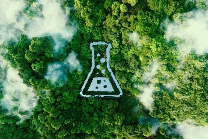 改性淀粉和欧盟的OSOA平台:新合规架构的第一周