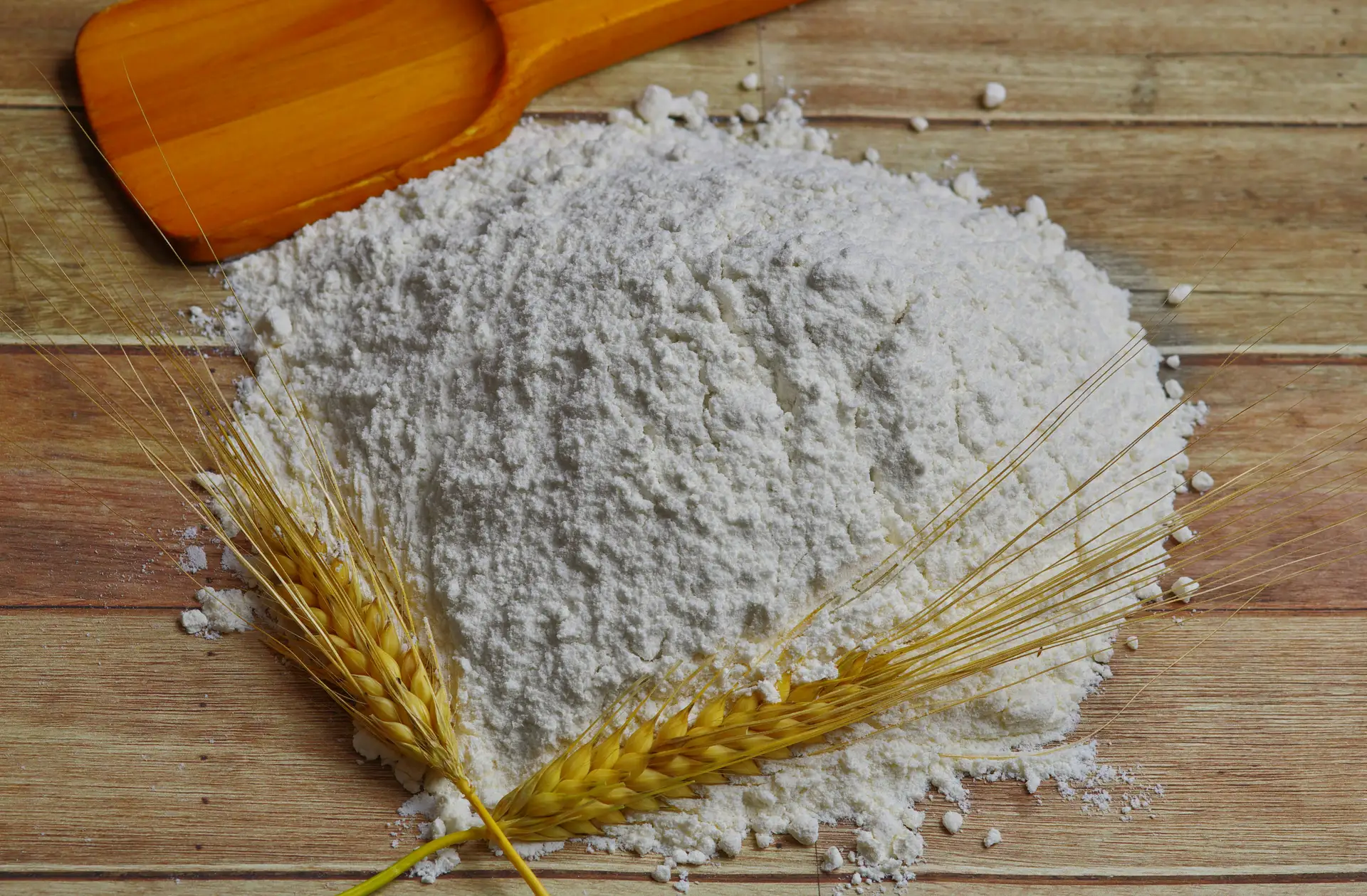 Corn Starch and Tapioca Starch: Southeast Asia Supply Update Amid Planting Season