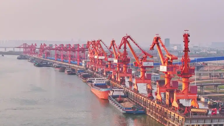 Ascorbic Acid Supply Outlook 2026: China’s Dominance Persists Amid Rising Logistics Premiums