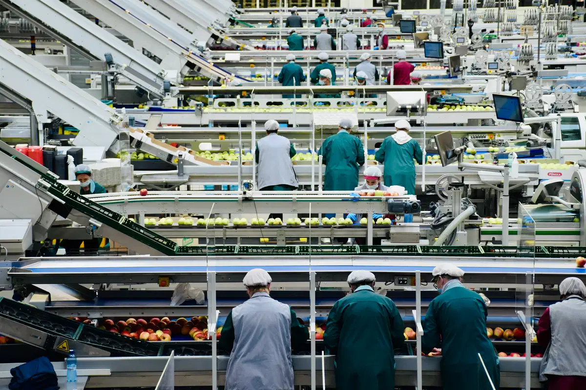 味精市场:霍尔木兹后海湾合作委员会食品供应链恢复,东盟需求复苏