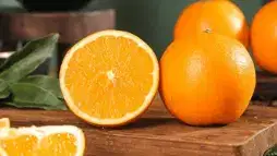 Citrus Pulp Market Trends: Feed, Food, and Bio-Based Growth Outlook 2026