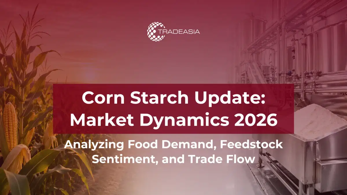 2026年玉米淀粉市场动态:食品需求、原料情绪和贸易流量