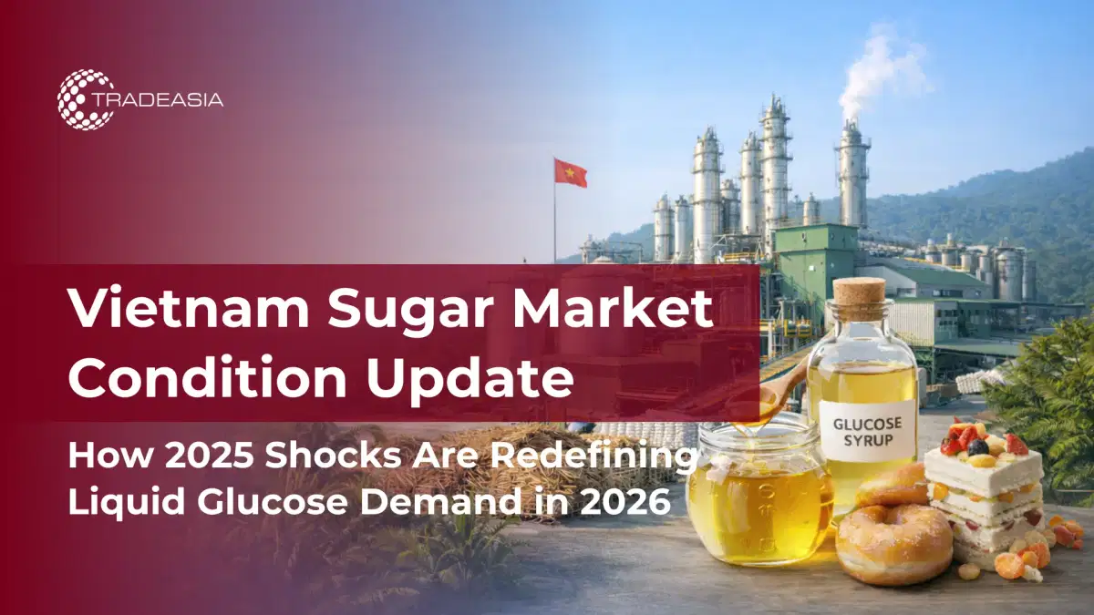 Vietnam Sugar Industry Under Pressure: How October 2025 Market Shocks Shape 2026