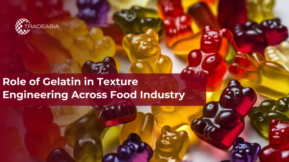 Role of Gelatin in Texture Engineering Across Food Industry