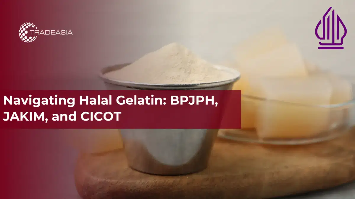 हलाल जिलेटिन को नेविगेट करना: BPJPH, JAKIM, और CICOT