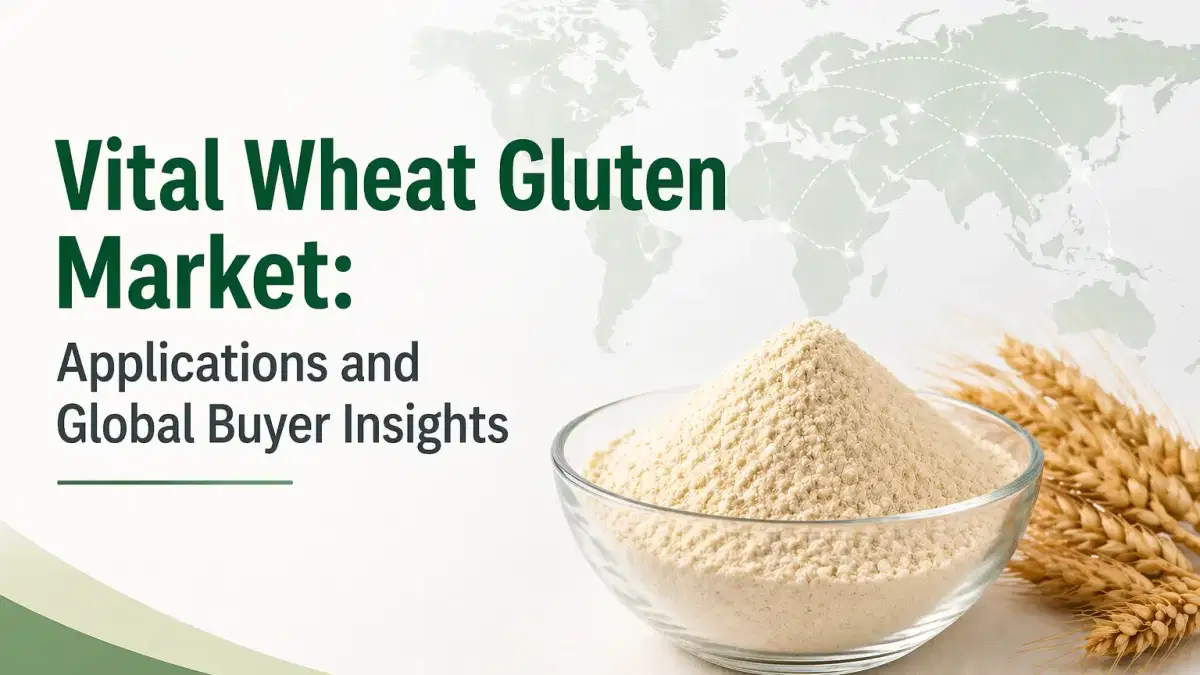 Vital Wheat Gluten Market: Applications and Global Buyer Insights