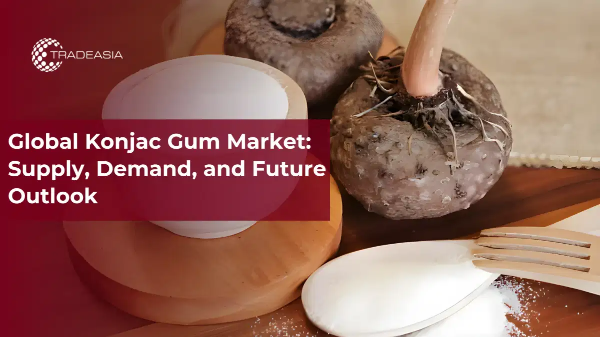 Mercado mundial de goma de konjac: oferta, demanda y perspectivas futuras hasta 2032