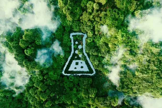 改性淀粉和欧盟的OSOA平台:新合规架构的第一周